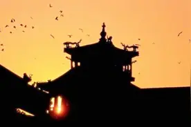 为何一到半夜，故宫上空就出现大批乌鸦？溥仪一番话揭露真相视频封面