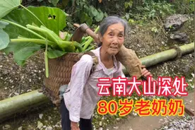 云南深山偶遇80岁老人，身背重物却健步如飞，聊天后让我心生敬仰视频封面