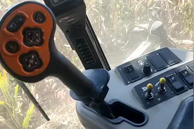 越干越累 啥都不想干了视频封面