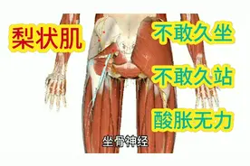 长时间坐着的人，很有可能损伤了这块肌肉，导致腿部酸胀无力。