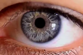 地球可能是吧宇宙中的一个细胞，那我们人类呢。视频封面