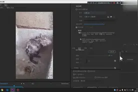 6分钟学会用pr批量制作GIF动态图，非常简单，只需要转换一下格式