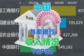 2020年中国各家银行收入排行榜，这是各家银行收入数据