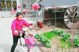 迷你型电动车就是好，只要孩子把车骑，大家就知道了