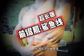 【收藏级】前锯肌·鲨鱼线详细教学