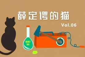 2分钟看懂“薛定谔的猫”，物理其实很有趣！视频封面