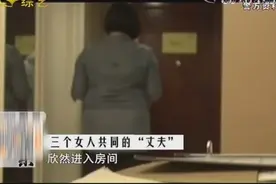 三名女子偶遇神秘富豪，为爱付出所有却遭共同男友骗财骗色视频封面