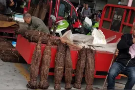 这是市场卖叶子烟的，烟叶，叶子烟