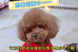因为艾米的一个谎言，妈妈不得不出镜澄清！视频封面