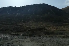 深山听到奇怪动物叫声，大家来一起听听。