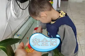 安全记：豆豆好看又好玩，安全问题要注意，教好宝宝才会玩得开心