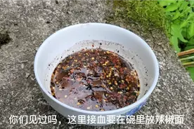 我是贵州人，也是第一次见，用辣子水碗接鹅血