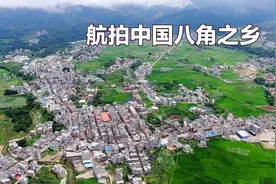 航拍藤县古龙镇，全世界最好的八角品种所在地，中国八角之乡视频封面