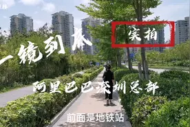 全网独家，一镜到底，实拍深圳后海阿里巴巴总部腹地有多震撼？视频封面