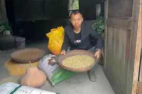 都说我们家猪长得快，想知道吃的啥？今天给大家揭晓答案