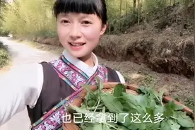 吃上火了，口干舌燥，小赵化身民间大夫，教你找草药败火