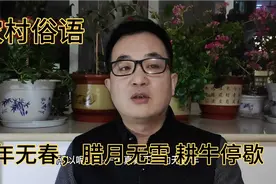 明年无春年，农村俗语“寡年无春，腊月无雪，耕牛停歇”，为啥？视频封面