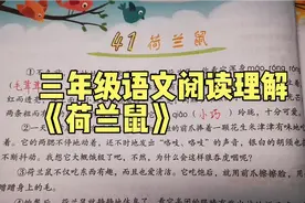 三年级语文阅读理解《荷兰鼠》，“AABC”式的词语你知道多少？视频封面