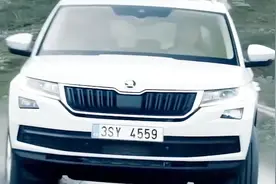 加完油后立马开车就走？员工都在偷着乐，老司机都不懂！视频封面