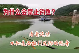 为什么会禁钓？看看这些吧，不知是否能够引发你的思考视频封面