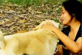 丈母娘带着狗狗们出来玩，狗狗们很活泼，很温馨！视频封面