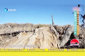 不只是传说！追逐新疆木垒传说中3000年不会倒下的胡杨树！视频封面