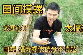 小伙子摸田螺想拿回家煮，却被告知是福寿螺不能吃，太搞笑了视频封面
