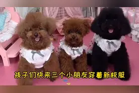 宝贝们穿的这么漂亮，原来是嘟嘟的妈妈来了！