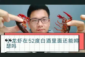 把小龙虾放进52度白酒中，10分后把你笑喷