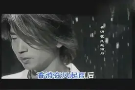 沙宝亮MV《暗香》