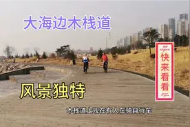 青岛麦岛的滨海木栈道，大海边、黄草地、骑行、高楼大厦，听涛声