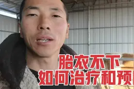 母牛产犊后胎衣不下，如何预防和治疗？亲身经验分享视频封面