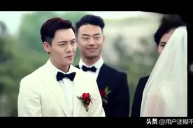 陈伟霆钟楚曦新婚甜蜜狗狗争宠视频封面