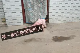 二胎家庭，一哭一个小时，宝妈没办法，只能由你哭，看能哭多久