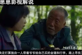 小女孩养了一个超级猪，体重多达6吨，还和女孩建立起真挚的友谊视频封面