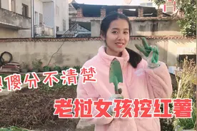 老挝女孩挖红薯 到底是红薯还是马铃薯 傻傻分不清楚视频封面