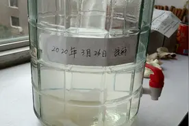 成熟的醋蛾子什么样那？以及营养液的配方