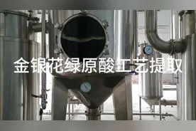 金银花绿原酸工艺提取含量高，品质好视频封面