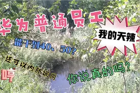 有人说华为普通员工能干到40、50岁？你说真的？还可以内部调岗？视频封面