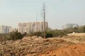 蔡甸常福拆迁区域，曾经的小村庄，现在全部拆除了，建工厂还建房视频封面