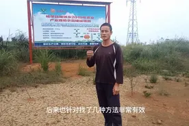 针对预防消灭白蚁的方法，啊明给您支两招，保证让您很受益！视频封面