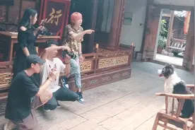 三个人围着拍一条狗，它的演技太好了！一天1000元工资？