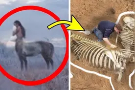 人头马身？惊人的考古发现！巨人族真实存在？视频封面
