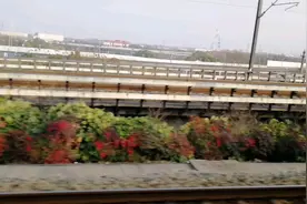 武汉到咸宁，高铁沿途的风景。视频封面