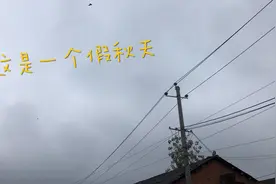 遇到了一个假秋天，这么冷的天，燕子在盘旋