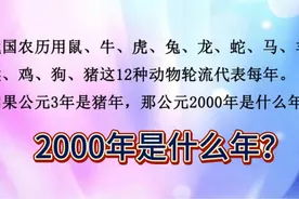 公园3年是猪年，2000年是什么年？要一个个列出来？这样算很方便视频封面