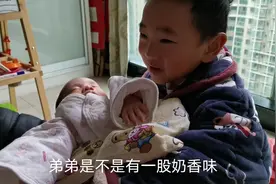 未满月弟弟越来越可爱，5岁的哥哥抱着不肯撒手，兄弟情深视频封面