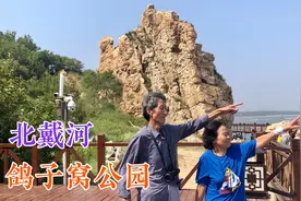 游览北戴河鸽子窝公园，4A级景区门票只要23元，平坦的海滩有特色