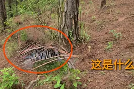 树下面发现一堆东西，小伙感觉有古怪，挖出来一看，大喊发财了视频封面