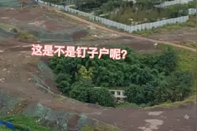 给网友怕下自贡绿地的工程进度。意外发现一个 钉子户？？视频封面